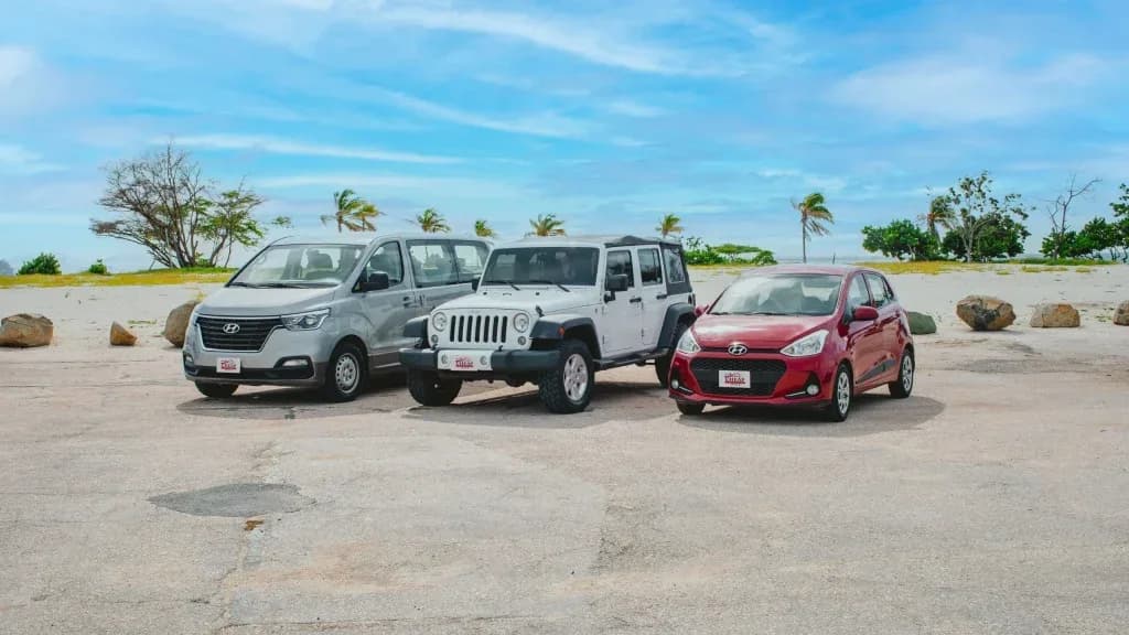 Van, Jeep and hatchback from the fleet parked on a lot with palms behind