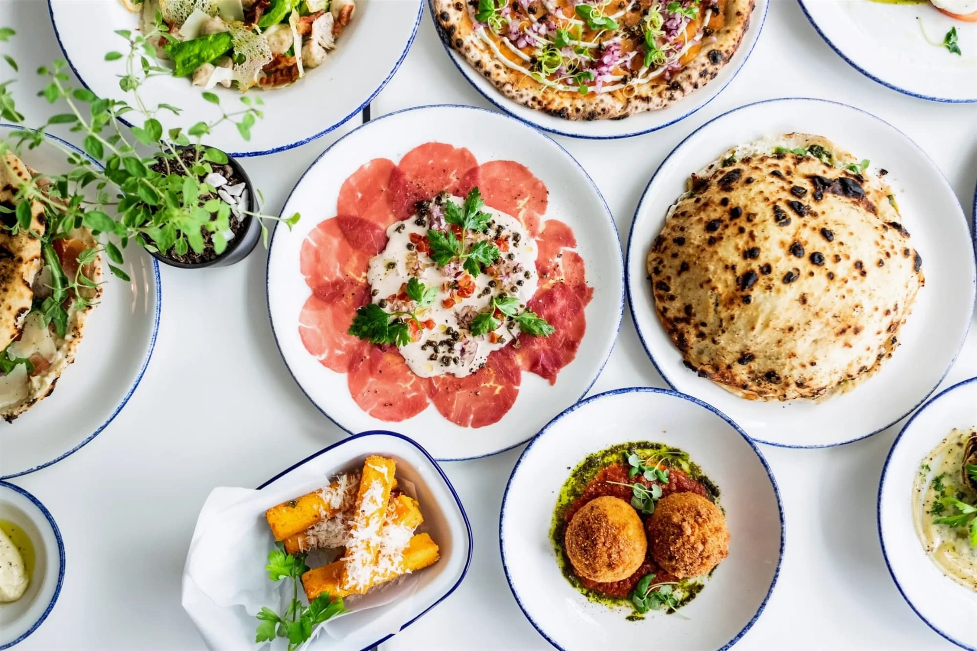 Overhead spread of Italian dishes