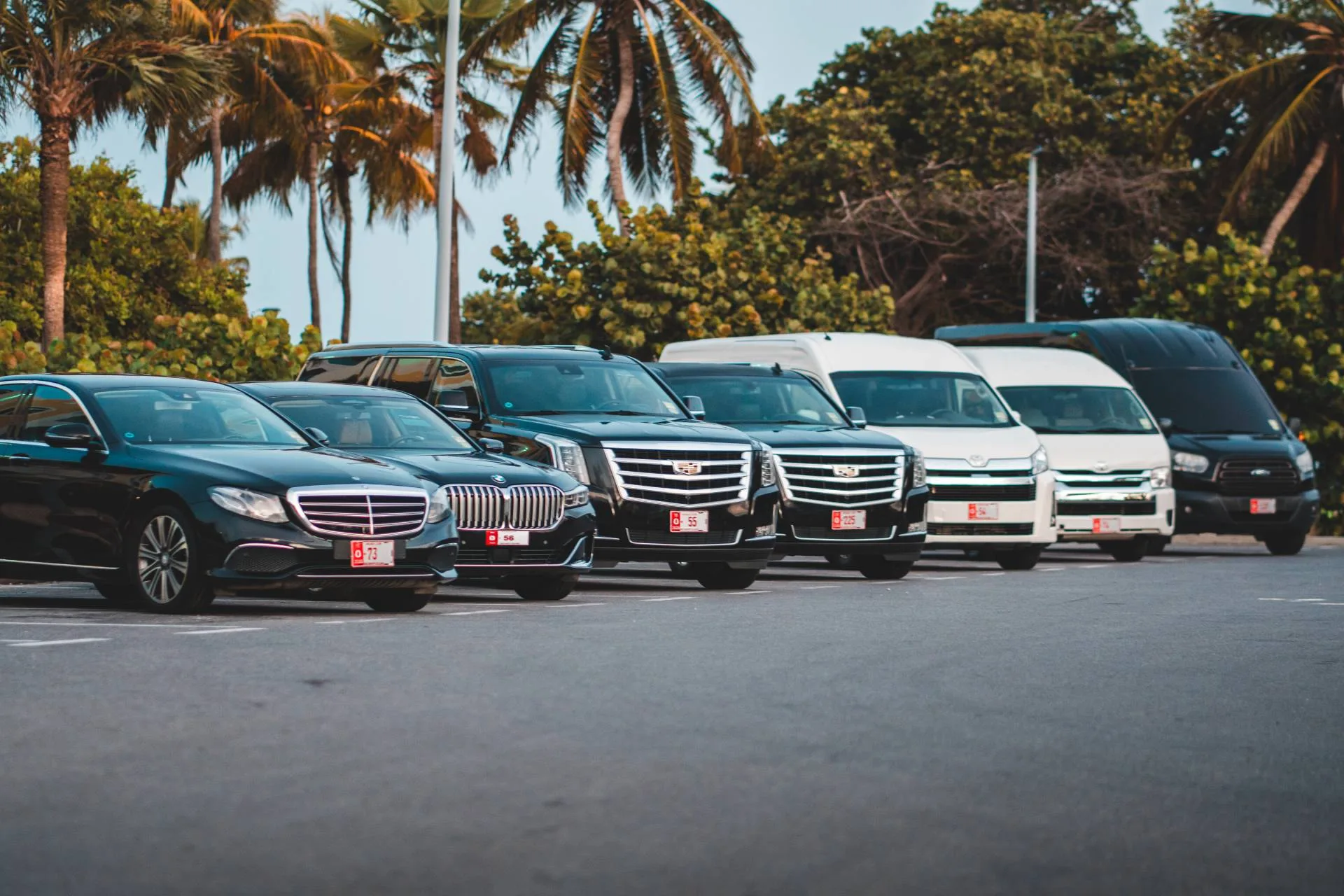 Kini Kini fleet lined up: sedans, SUVs and vans